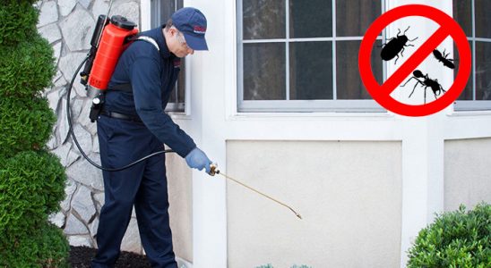Beyağaç Fare İlaçlama böcek ilaçlama ve haşere kontrolü — ilaclama-tr.com
